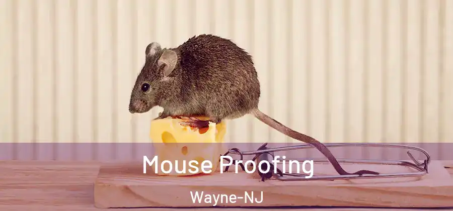 Mouse Proofing Wayne-NJ