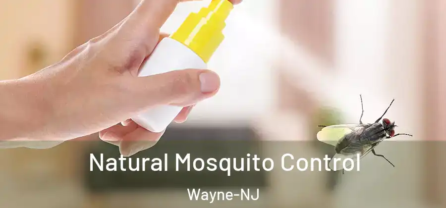 Natural Mosquito Control Wayne-NJ