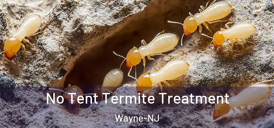 No Tent Termite Treatment Wayne-NJ