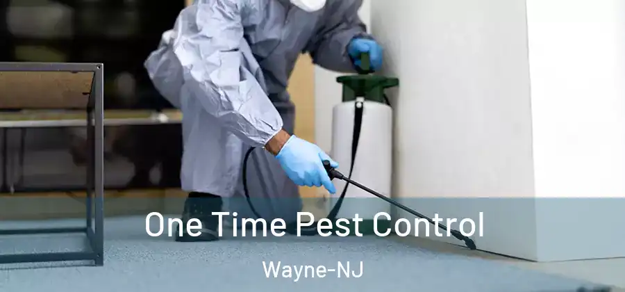 One Time Pest Control Wayne-NJ