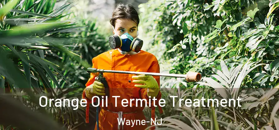 Orange Oil Termite Treatment Wayne-NJ