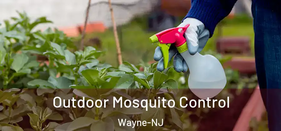Outdoor Mosquito Control Wayne-NJ