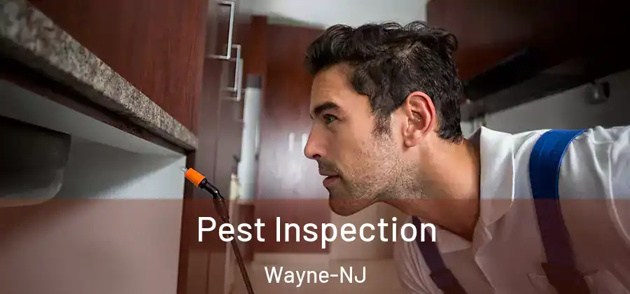 Pest Inspection Wayne-NJ