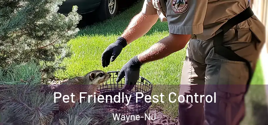 Pet Friendly Pest Control Wayne-NJ
