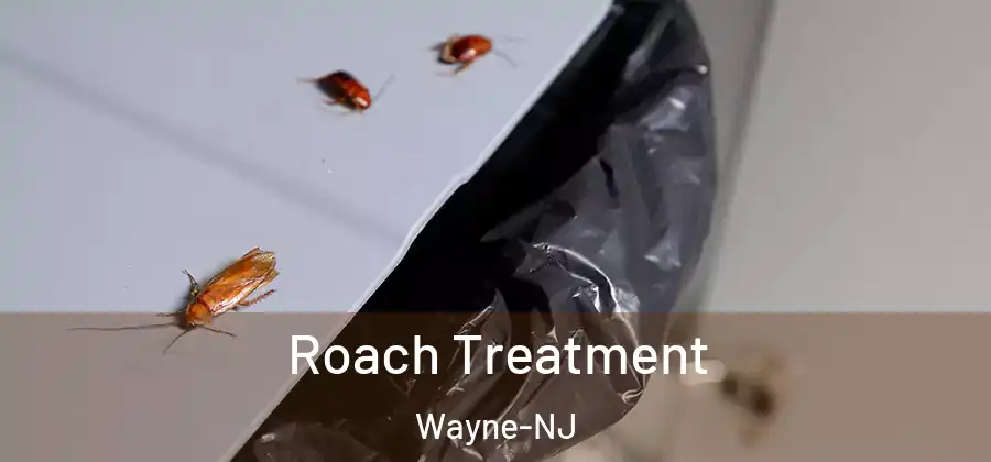 Roach Treatment Wayne-NJ