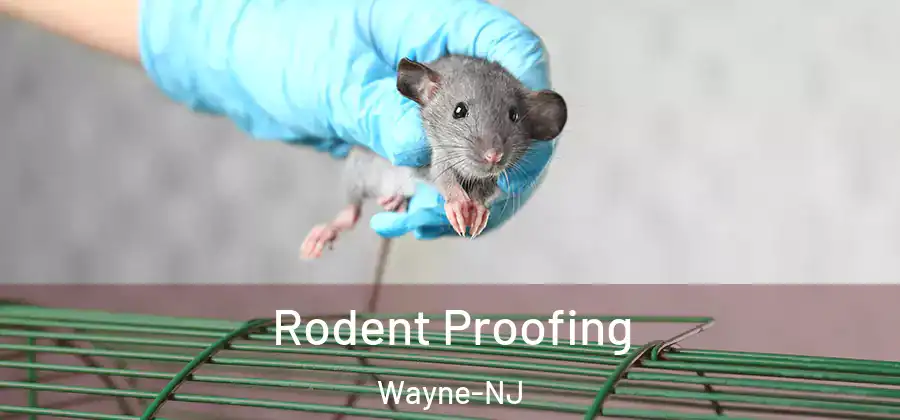 Rodent Proofing Wayne-NJ