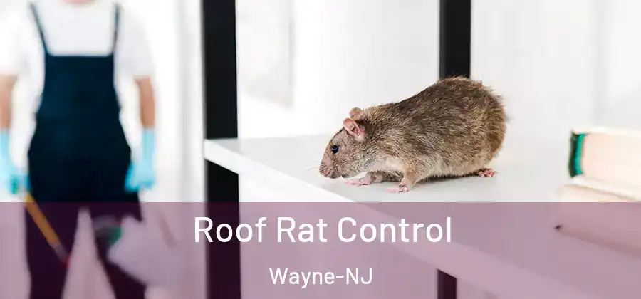 Roof Rat Control Wayne-NJ