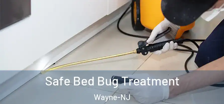 Safe Bed Bug Treatment Wayne-NJ