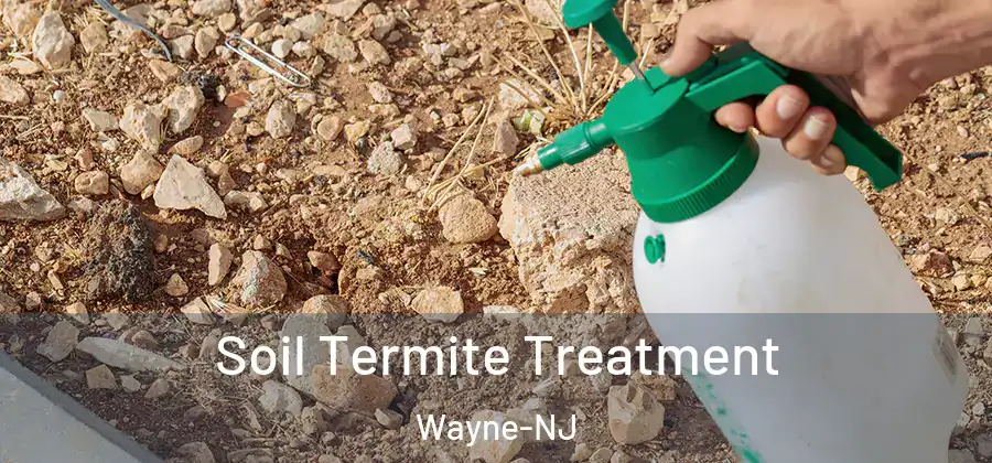 Soil Termite Treatment Wayne-NJ