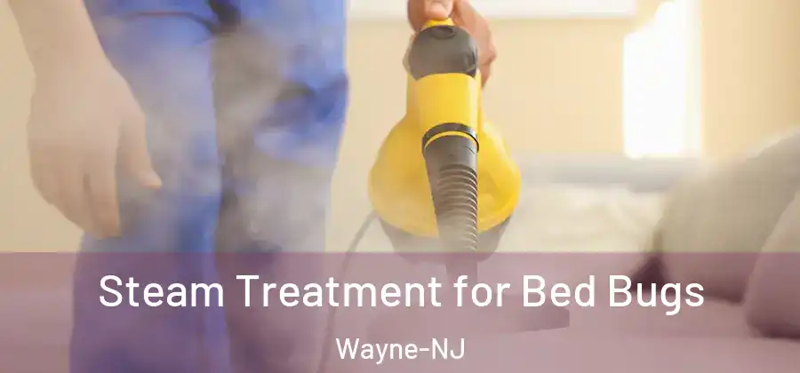 Steam Treatment for Bed Bugs Wayne-NJ