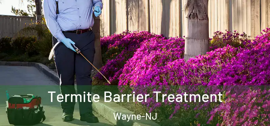 Termite Barrier Treatment Wayne-NJ