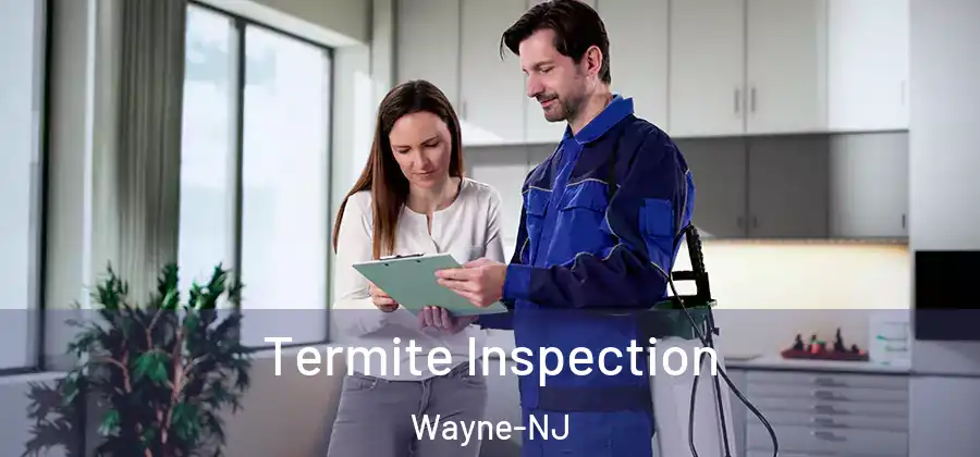 Termite Inspection Wayne-NJ