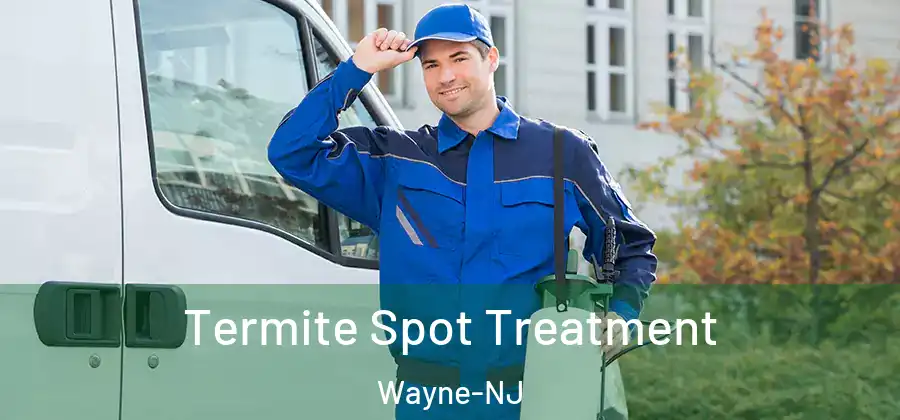 Termite Spot Treatment Wayne-NJ