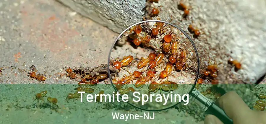 Termite Spraying Wayne-NJ