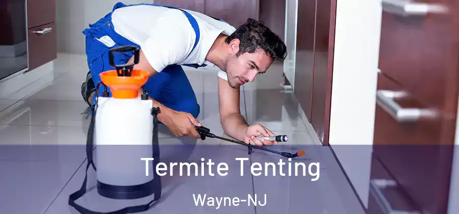 Termite Tenting Wayne-NJ