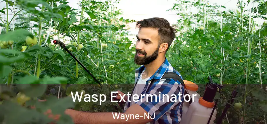 Wasp Exterminator Wayne-NJ