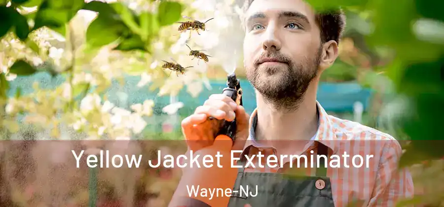 Yellow Jacket Exterminator Wayne-NJ